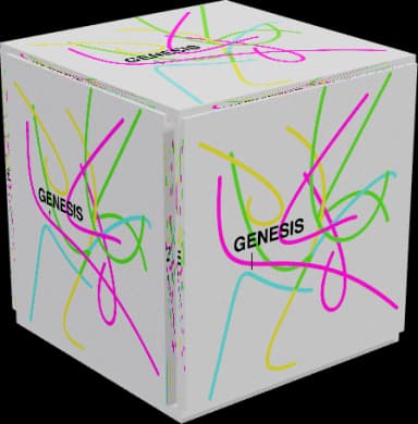 Mystery Box Variant 6